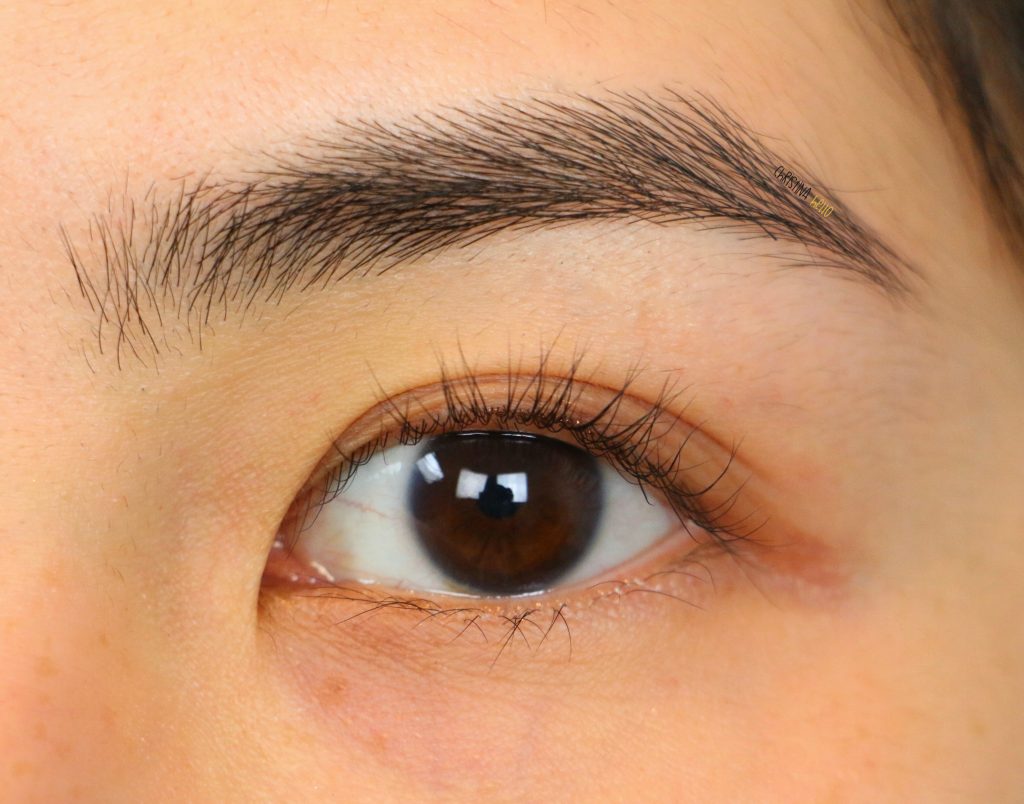 Color contacts for dark brown eyes