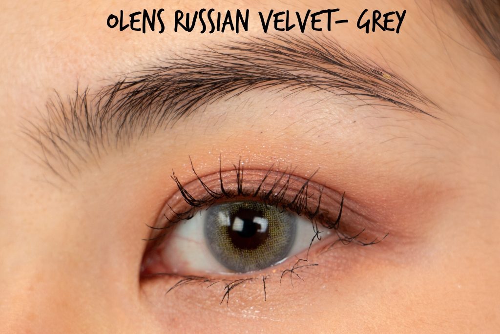 color contacts grey olens russian velvet grey try on review